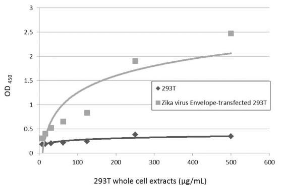 Zika Virus Envelope (strain H/PF/2013) Antibody in ELISA (ELISA)