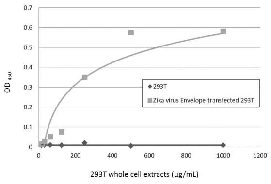 Zika Virus Envelope (strain H/PF/2013) Antibody in ELISA (ELISA)