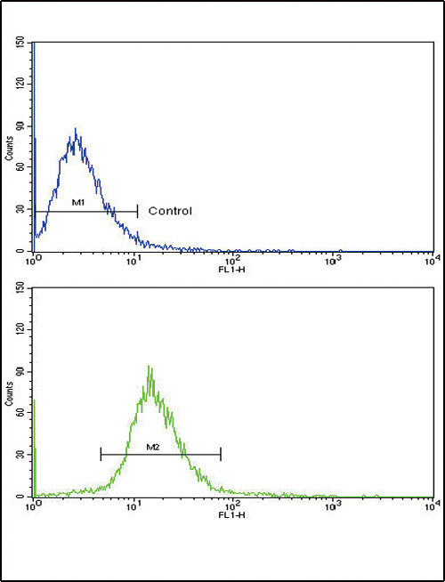 Vitronectin Antibody in Flow Cytometry (Flow)