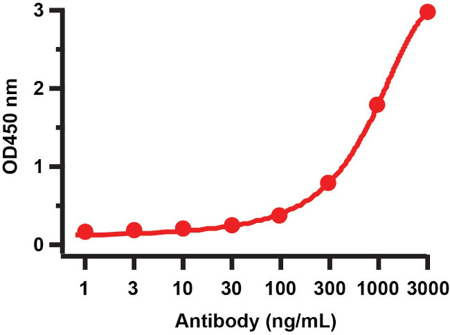 SARS 3CL Protease Antibody in ELISA (ELISA)