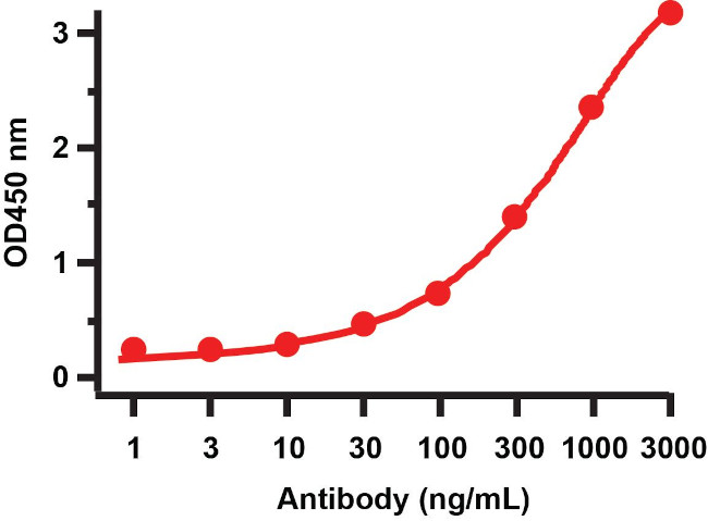 SARS 3CL Protease Antibody in ELISA (ELISA)