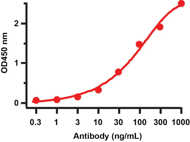 SARS-CoV-2 NSP14 Antibody in ELISA (ELISA)