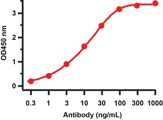 SARS-CoV-2 ORF10 Antibody in ELISA (ELISA)