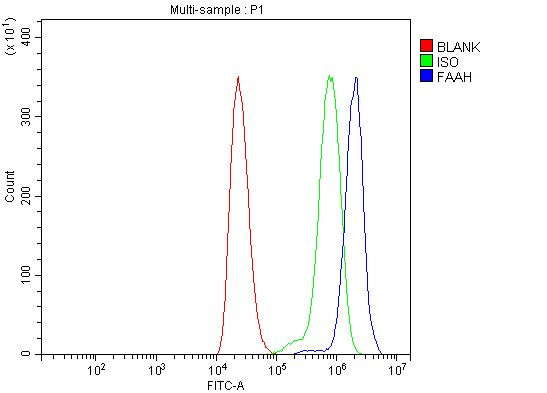 FAAH Antibody in Flow Cytometry (Flow)