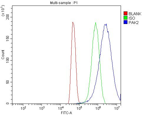 PAK2 Antibody in Flow Cytometry (Flow)