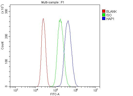 HAP1 Antibody in Flow Cytometry (Flow)