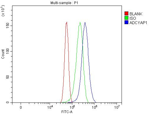 PACAP-38 Antibody in Flow Cytometry (Flow)