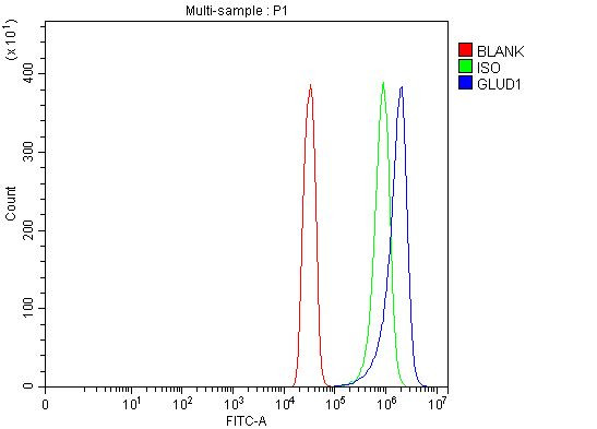 GluD1/GluD2 Antibody in Flow Cytometry (Flow)