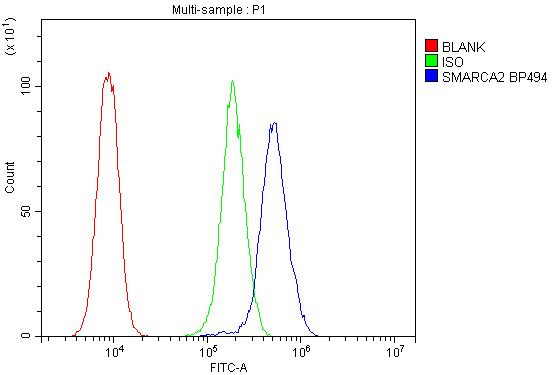 SMARCA2 Antibody in Flow Cytometry (Flow)