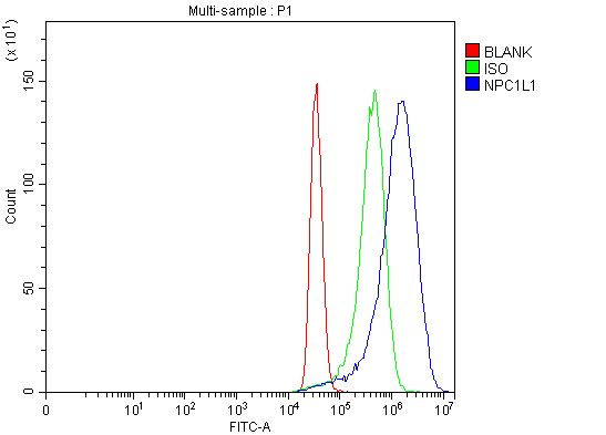 NPC1L1 Antibody in Flow Cytometry (Flow)