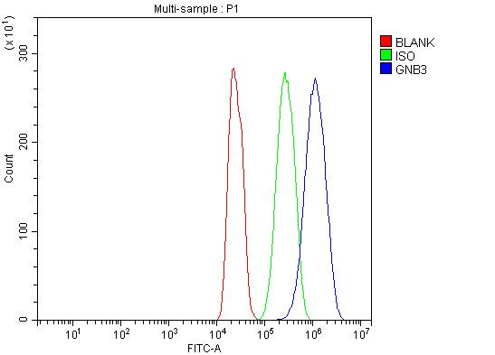 GNB3 Antibody in Flow Cytometry (Flow)