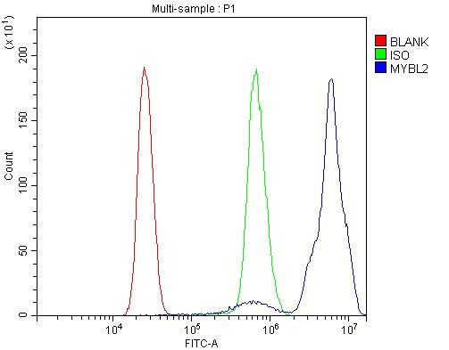 B-Myb Antibody in Flow Cytometry (Flow)