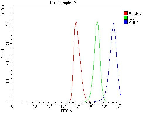 Ankyrin 1 Antibody in Flow Cytometry (Flow)