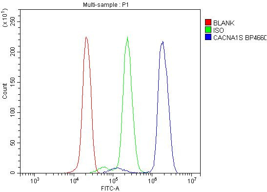 CaV1.1 Antibody in Flow Cytometry (Flow)