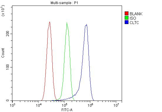 Clathrin Heavy Chain Antibody in Flow Cytometry (Flow)