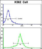 PCM1 Antibody in Flow Cytometry (Flow)