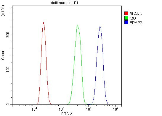 ERAP2 Antibody in Flow Cytometry (Flow)