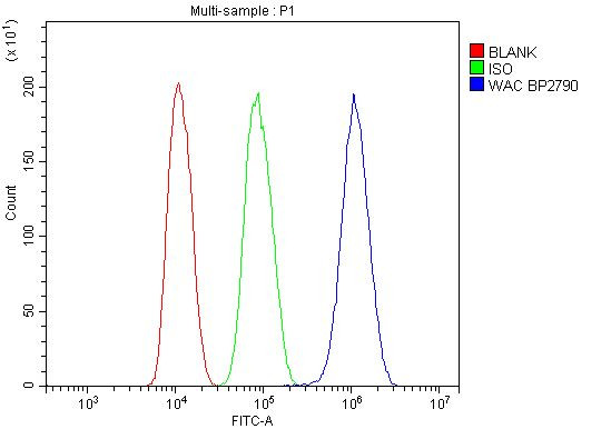 WAC Antibody in Flow Cytometry (Flow)