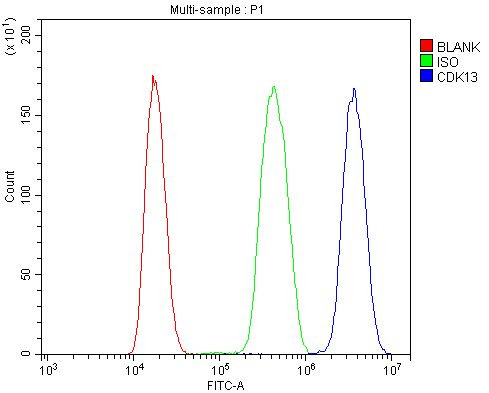 CDK13 Antibody in Flow Cytometry (Flow)