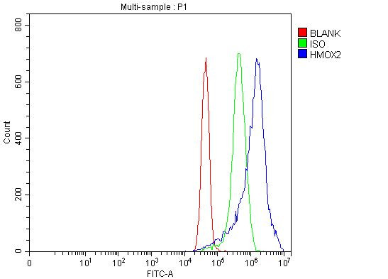 Heme oxygenase 2 Antibody in Flow Cytometry (Flow)