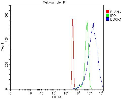 DOCK4 Antibody in Flow Cytometry (Flow)