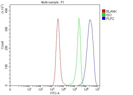 PLP2 Antibody in Flow Cytometry (Flow)