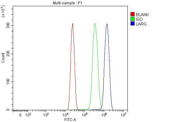 ARHGEF12 Antibody in Flow Cytometry (Flow)