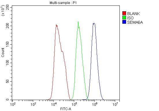 SEMA6A Antibody in Flow Cytometry (Flow)