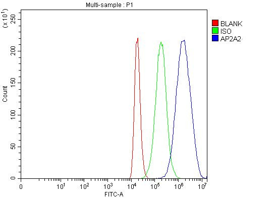 AP2A2 Antibody in Flow Cytometry (Flow)