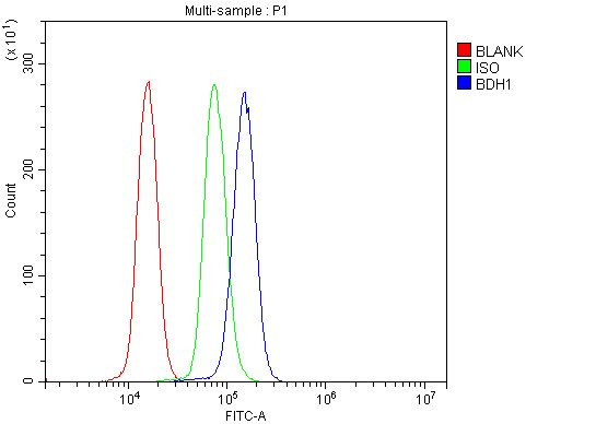 BDH1 Antibody in Flow Cytometry (Flow)