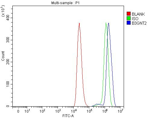 B3GNT2 Antibody in Flow Cytometry (Flow)