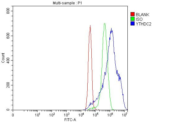 YTHDC2 Antibody in Flow Cytometry (Flow)