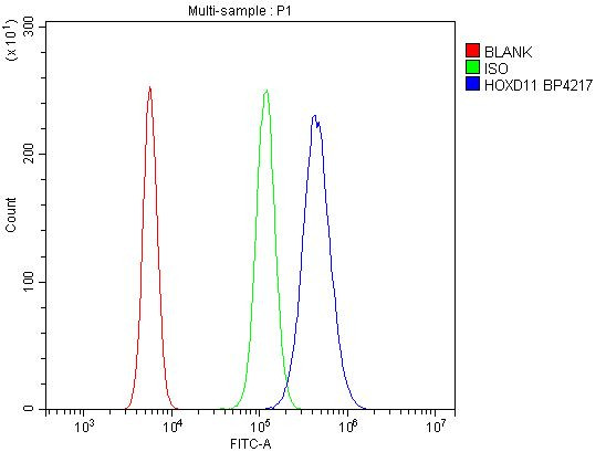 HOXD11 Antibody in Flow Cytometry (Flow)