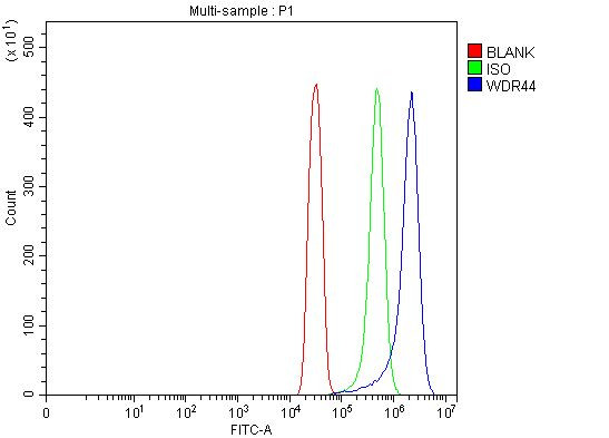 WDR44 Antibody in Flow Cytometry (Flow)