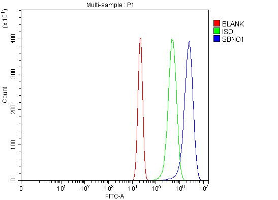 SBNO1 Antibody in Flow Cytometry (Flow)