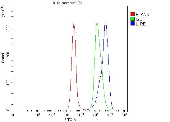 L1RE1 Antibody in Flow Cytometry (Flow)