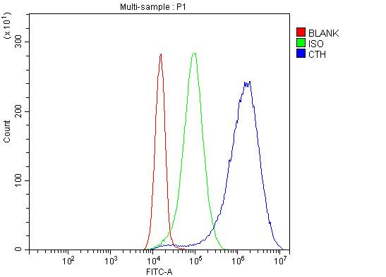 CTH Antibody in Flow Cytometry (Flow)