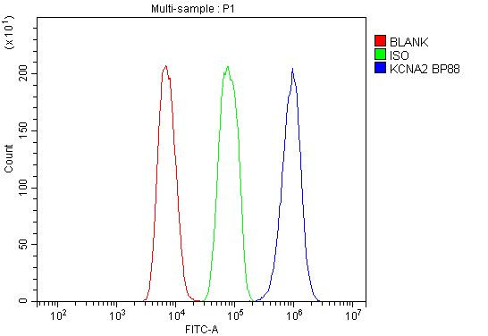 KV1.2 (KCNA2) Antibody in Flow Cytometry (Flow)