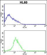 CDK4 Antibody in Flow Cytometry (Flow)