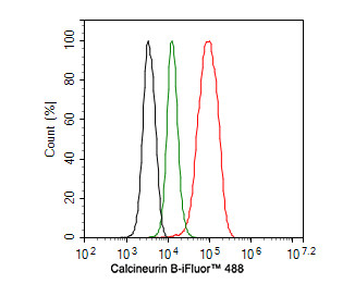 Calcineurin B Antibody in Flow Cytometry (Flow)