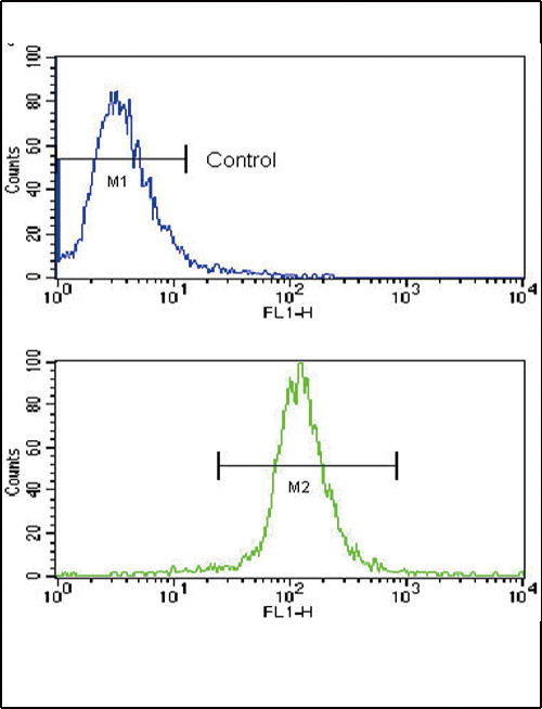 Caspase 3 Antibody in Flow Cytometry (Flow)