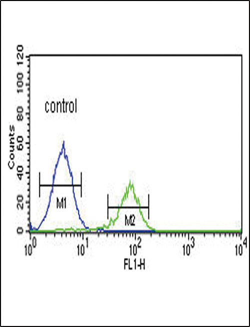 PCSK2 Antibody in Flow Cytometry (Flow)