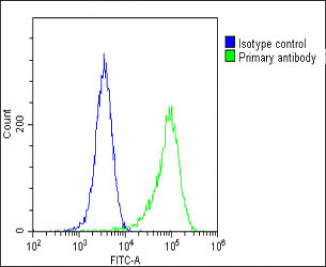 FGFR2 Antibody in Flow Cytometry (Flow)