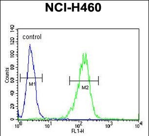 SESN1 Antibody in Flow Cytometry (Flow)