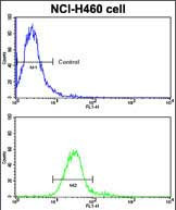 ROR1 Antibody in Flow Cytometry (Flow)