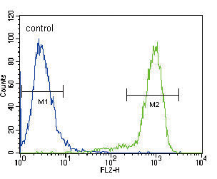 TrkA Antibody in Flow Cytometry (Flow)