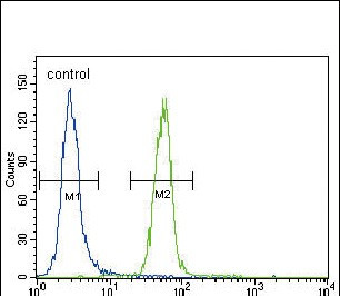 Fyn Antibody in Flow Cytometry (Flow)