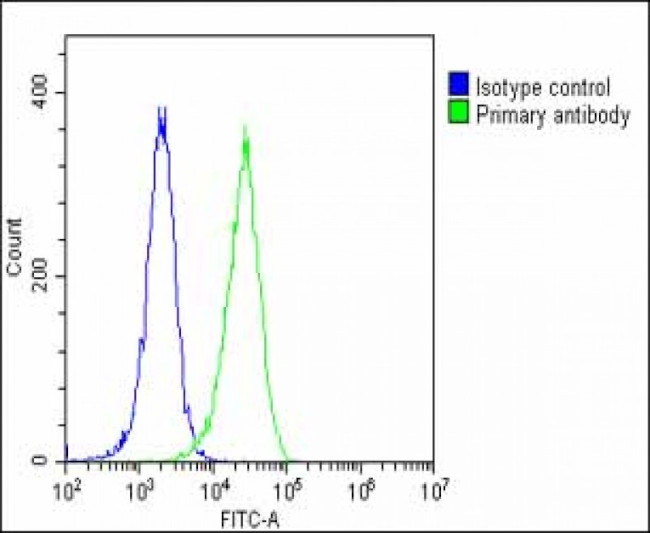 NTF3 Antibody in Flow Cytometry (Flow)