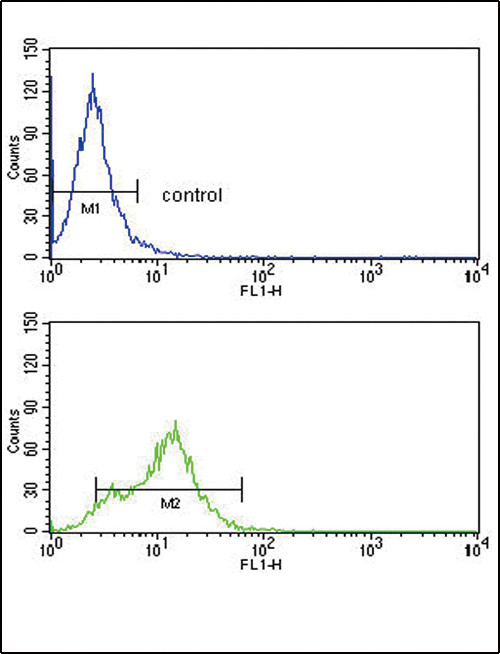 ACVRL1 Antibody in Flow Cytometry (Flow)