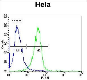 c-Raf Antibody in Flow Cytometry (Flow)